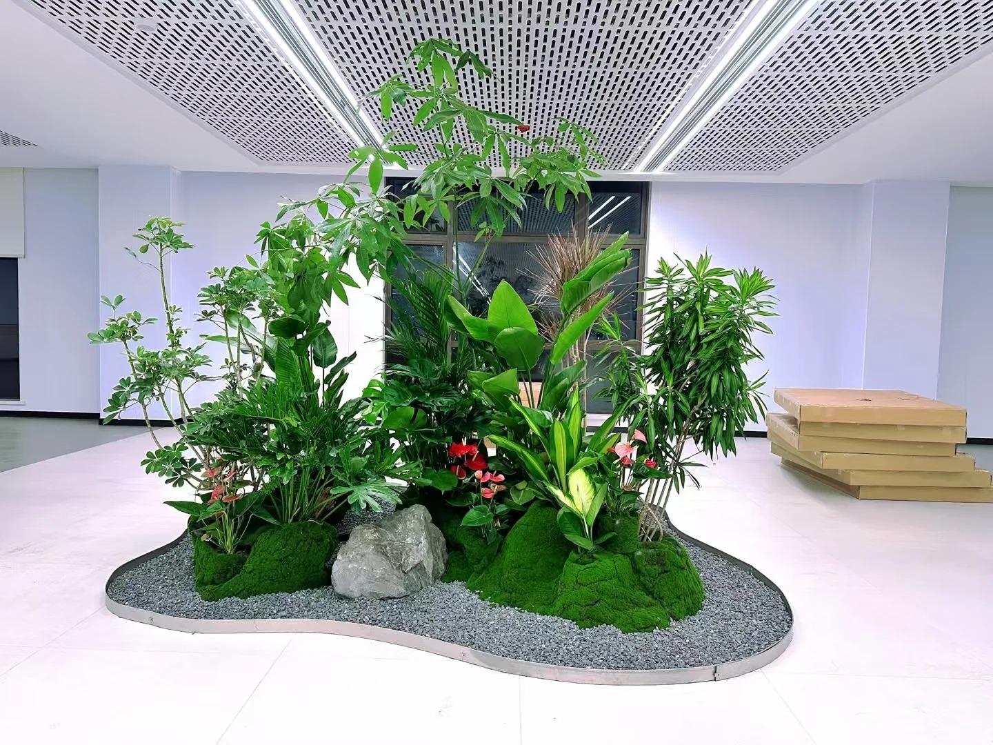 余姚植物租摆哪家出色?全方位对比,一目了然